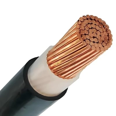 저전압 전원 케이블